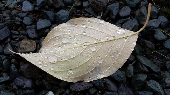 Foto por Ana Muinelo